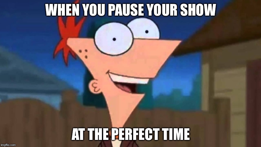 Perfect... Timing... | WHEN YOU PAUSE YOUR SHOW; AT THE PERFECT TIME | image tagged in memes | made w/ Imgflip meme maker