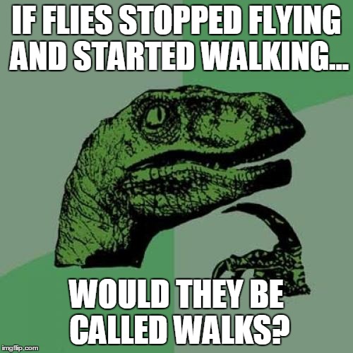 Philosoraptor | IF FLIES STOPPED FLYING AND STARTED WALKING... WOULD THEY BE CALLED WALKS? | image tagged in memes,philosoraptor | made w/ Imgflip meme maker