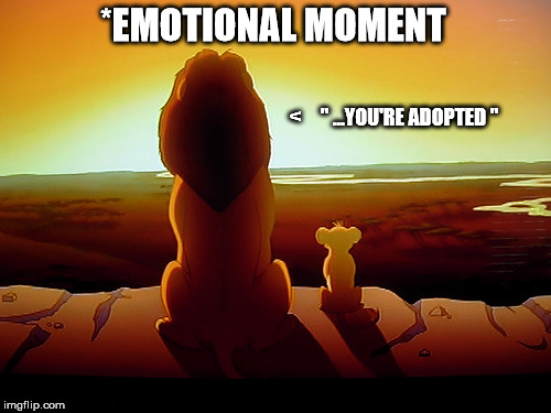 Lion King Meme | *EMOTIONAL MOMENT; <     " ...YOU'RE ADOPTED " | image tagged in memes,lion king | made w/ Imgflip meme maker