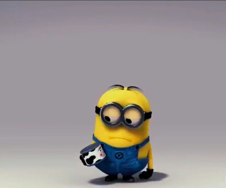 sadminion Blank Meme Template