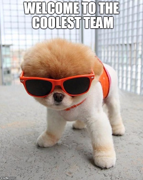Cute Puppies | WELCOME TO THE COOLEST TEAM | image tagged in cute puppies | made w/ Imgflip meme maker