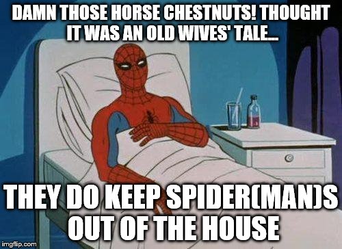 Spiderman Hospital | DAMN THOSE HORSE CHESTNUTS! THOUGHT IT WAS AN OLD WIVES' TALE... THEY DO KEEP SPIDER(MAN)S OUT OF THE HOUSE | image tagged in memes,spiderman hospital,spiderman | made w/ Imgflip meme maker