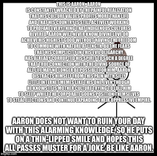 Be Like Bill Meme | THIS IS AARON. 
AARON IS CONSTANTLY WRACKED BY THE PAINFUL REALIZATION THAT HIS CULTURE VALUES PROFITS MORE THAN LIFE AND THAT HIS COUNTRY IS STILL ACTIVELY WORKING TO PROFANE EVERYTHING THAT INDIGENOUS CULTURES REVERED. AARON WILL NEVER KNOW DIVINE LOVE OR ACHIEVE HIS HIGHEST GOOD WITHOUT HAVING THE FREEDOM TO COMMUNE WITH NATURE AT LENGTH, BUT HE FEARS THAT HIS COMPLICITY IN THIS EVIL OLIGARCHY HAS ALREADY CORRUPTED HIS SPIRIT TO SUCH A DEGREE THAT TRUE CONNECTION WITH THE DIVINE SOURCE OF ALL LIFE MAY NO LONGER BE POSSIBLE FOR HIM. AARON DISTRACTS HIMSELF FROM THIS PAIN WITH SILLY LITTLE INTERNET MEMES LIKE THIS ONE, EVEN THOUGH HE KNOWS IT IS MOTHER CULTURE TRYING TO LULL HIM TO SLEEP WHILE THE CORPORATE GOONS POSITION THEMSELVES TO STEAL ELECTIONS AND CONTINUE EXPANDING THEIR OPPRESSIVE EMPIRE. AARON DOES NOT WANT TO RUIN YOUR DAY WITH THIS ALARMING KNOWLEDGE, SO HE PUTS ON A THIN-LIPPED SMILE AND HOPES THIS ALL PASSES MUSTER FOR A JOKE. BE LIKE AARON. | image tagged in memes,be like bill | made w/ Imgflip meme maker