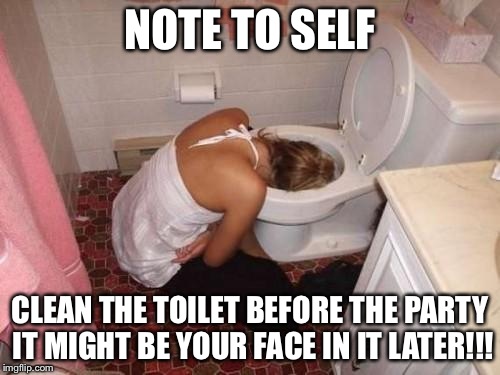 Drunk Girl Toilet | NOTE TO SELF; CLEAN THE TOILET BEFORE THE PARTY IT MIGHT BE YOUR FACE IN IT LATER!!! | image tagged in drunk girl toilet | made w/ Imgflip meme maker