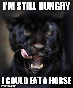 Hungry Panther | I'M STILL HUNGRY; I COULD EAT A HORSE | image tagged in hungry panther | made w/ Imgflip meme maker