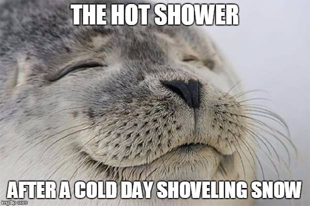 Satisfied Seal | THE HOT SHOWER; AFTER A COLD DAY SHOVELING SNOW | image tagged in memes,satisfied seal | made w/ Imgflip meme maker