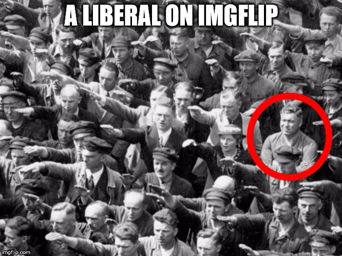 jew lover | A LIBERAL ON IMGFLIP | image tagged in liberal | made w/ Imgflip meme maker