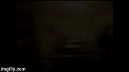 table flip! XD | image tagged in gifs,grumpy cat | made w/ Imgflip video-to-gif maker