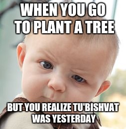 Skeptical Baby | WHEN YOU GO TO PLANT A TREE; BUT YOU REALIZE TU'BISHVAT WAS YESTERDAY | image tagged in memes,skeptical baby | made w/ Imgflip meme maker