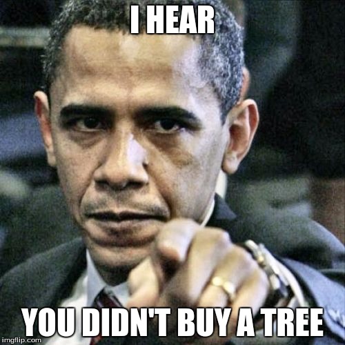 Pissed Off Obama | I HEAR; YOU DIDN'T BUY A TREE | image tagged in memes,pissed off obama | made w/ Imgflip meme maker