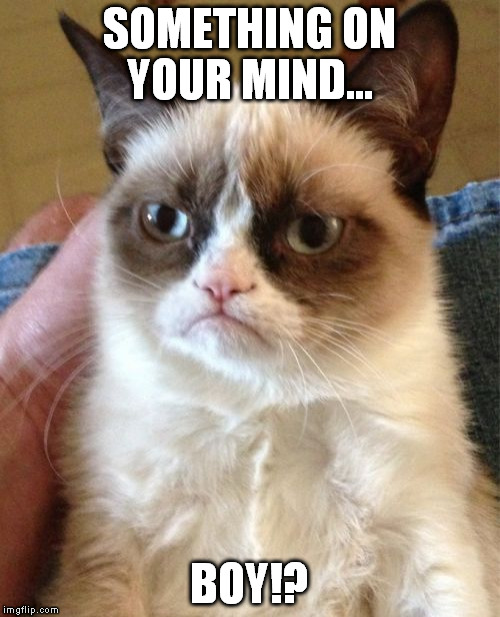 Grumpy Cat Meme | SOMETHING ON YOUR MIND... BOY!? | image tagged in memes,grumpy cat | made w/ Imgflip meme maker