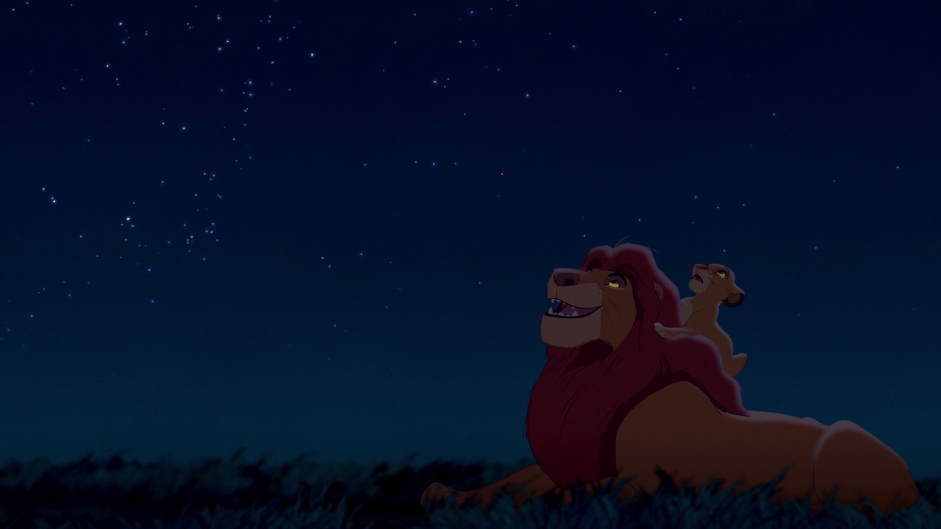 High Quality Lion king starry night Blank Meme Template