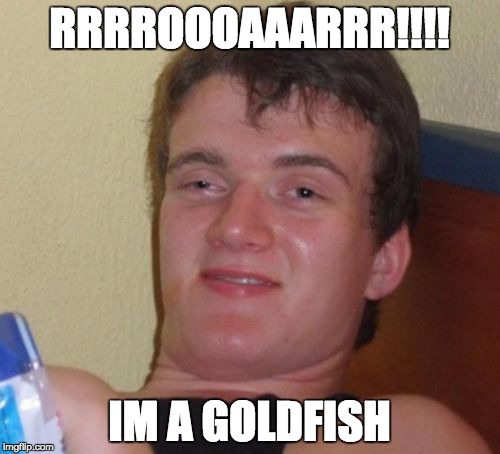 10 Guy Meme | RRRROOOAAARRR!!!! IM A GOLDFISH | image tagged in memes,10 guy | made w/ Imgflip meme maker