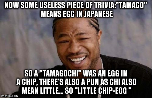 Yo Dawg Heard You Meme | NOW SOME USELESS PIECE OF TRIVIA:"TAMAGO" MEANS EGG IN JAPANESE SO A "TAMAGOCHI" WAS AN EGG IN A CHIP, THERE'S ALSO A PUN AS CHI ALSO MEAN L | image tagged in memes,yo dawg heard you | made w/ Imgflip meme maker