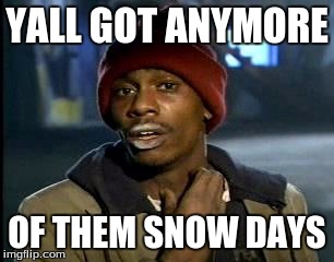 Y'all Got Any More Of That | YALL GOT ANYMORE; OF THEM SNOW DAYS | image tagged in memes,yall got any more of | made w/ Imgflip meme maker