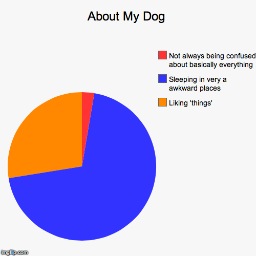 About My Dog | image tagged in annoyed dog,pie chart | made w/ Imgflip chart maker