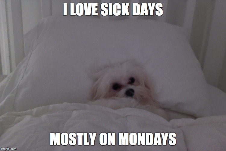 #Sick days | I LOVE SICK DAYS; MOSTLY ON MONDAYS | image tagged in annoyed dog | made w/ Imgflip meme maker