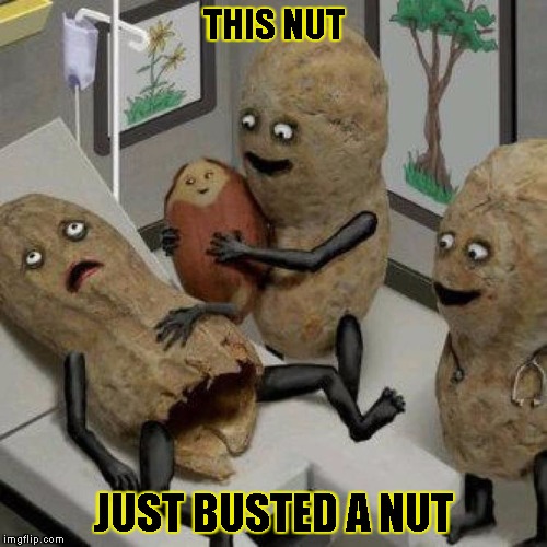 THIS NUT; JUST BUSTED A NUT | image tagged in nutz | made w/ Imgflip meme maker