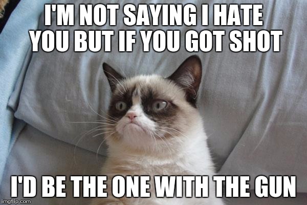 Grumpy Cat Bed Meme | I'M NOT SAYING I HATE YOU BUT IF YOU GOT SHOT; I'D BE THE ONE WITH THE GUN | image tagged in memes,grumpy cat bed,grumpy cat | made w/ Imgflip meme maker