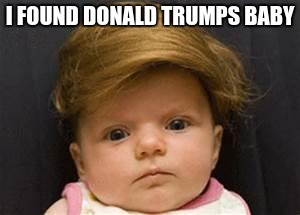 toupee | I FOUND DONALD TRUMPS BABY | image tagged in toupee | made w/ Imgflip meme maker