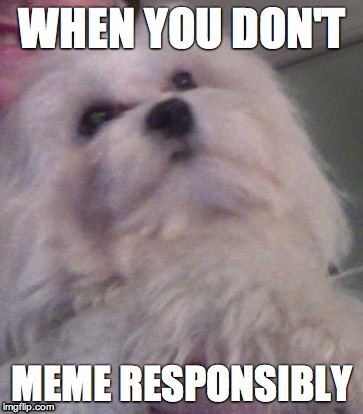 Dont meme and drive | WHEN YOU DON'T; MEME RESPONSIBLY | image tagged in annoyed dog,memes | made w/ Imgflip meme maker