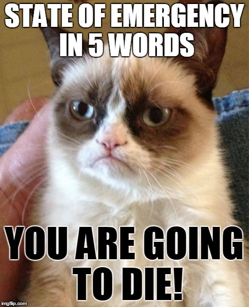 Grumpy Cats State Of Emergency In 5 Words | STATE OF EMERGENCY IN 5 WORDS; YOU ARE GOING TO DIE! | image tagged in memes,grumpy cat | made w/ Imgflip meme maker