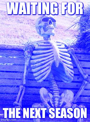 Waiting Skeleton |  WAITING FOR; THE NEXT SEASON | image tagged in memes,waiting skeleton | made w/ Imgflip meme maker