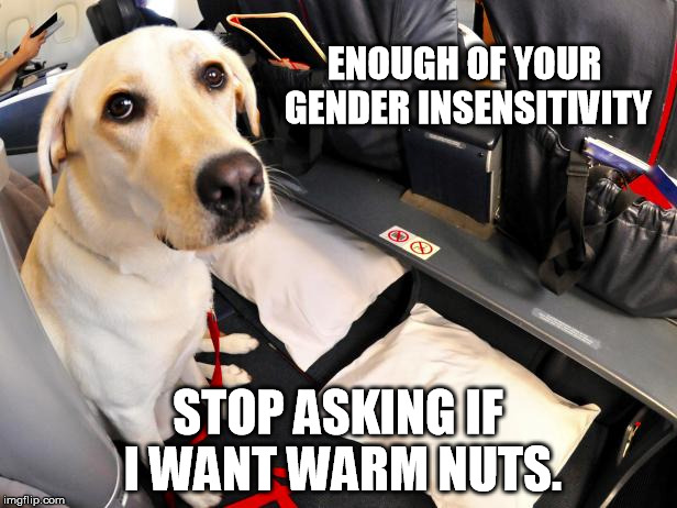 Andie MacDowell's Dog? | ENOUGH OF YOUR GENDER INSENSITIVITY; STOP ASKING IF I WANT WARM NUTS. | image tagged in microaggression,funny memes | made w/ Imgflip meme maker