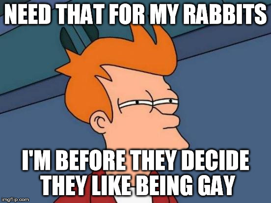 Futurama Fry Meme | NEED THAT FOR MY RABBITS I'M BEFORE THEY DECIDE THEY LIKE BEING GAY | image tagged in memes,futurama fry | made w/ Imgflip meme maker