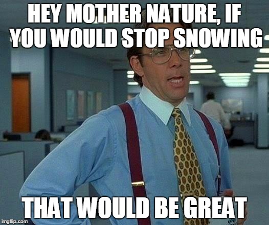 That Would Be Great Meme | HEY MOTHER NATURE, IF YOU WOULD STOP SNOWING; THAT WOULD BE GREAT | image tagged in memes,that would be great | made w/ Imgflip meme maker