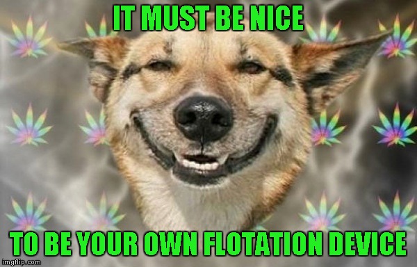 IT MUST BE NICE TO BE YOUR OWN FLOTATION DEVICE | made w/ Imgflip meme maker