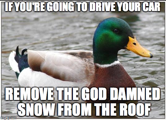 Actual Advice Mallard Meme | IF YOU'RE GOING TO DRIVE YOUR CAR; REMOVE THE GOD DAMNED SNOW FROM THE ROOF | image tagged in memes,actual advice mallard | made w/ Imgflip meme maker