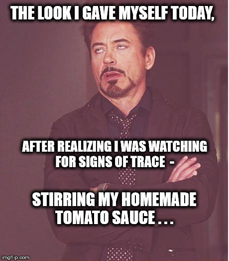 Face You Make Robert Downey Jr Meme | THE LOOK I GAVE MYSELF TODAY, AFTER REALIZING I WAS WATCHING FOR SIGNS OF TRACE  -; STIRRING MY HOMEMADE TOMATO SAUCE . . . | image tagged in memes,face you make robert downey jr | made w/ Imgflip meme maker