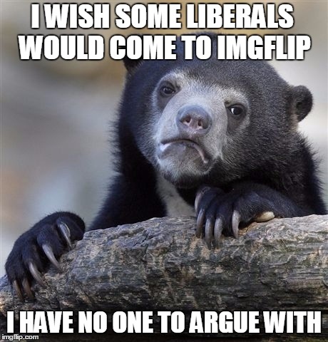 Confession Bear Meme | I WISH SOME LIBERALS WOULD COME TO IMGFLIP; I HAVE NO ONE TO ARGUE WITH | image tagged in memes,confession bear,liberals,offended,arguing,entertainment | made w/ Imgflip meme maker