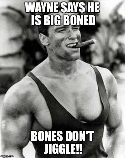 Arnold | WAYNE SAYS HE IS BIG BONED; BONES DON'T JIGGLE!! | image tagged in arnold | made w/ Imgflip meme maker