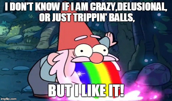 William's meme | I DON'T KNOW IF I AM CRAZY,DELUSIONAL, OR JUST TRIPPIN' BALLS, BUT I LIKE IT! | image tagged in gravity falls,shmebulock,rainbow gnome,gravity falls memes | made w/ Imgflip meme maker