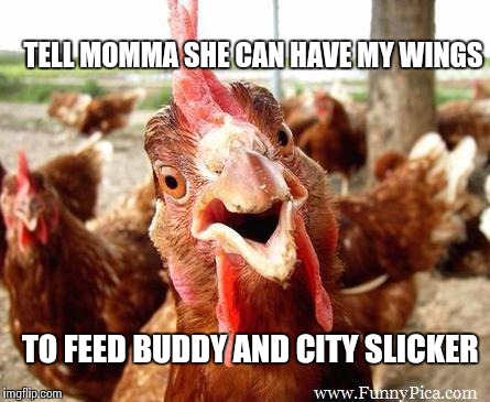 Chicken | TELL MOMMA SHE CAN HAVE MY WINGS; TO FEED BUDDY AND CITY SLICKER | image tagged in chicken | made w/ Imgflip meme maker