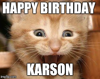 Excited Cat Meme | HAPPY BIRTHDAY; KARSON | image tagged in memes,excited cat | made w/ Imgflip meme maker