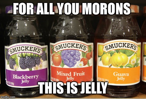 Jelly | FOR ALL YOU MORONS; THIS IS JELLY | image tagged in jelly | made w/ Imgflip meme maker