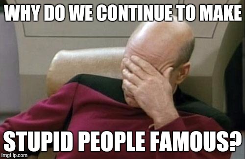 Captain Picard Facepalm Meme | WHY DO WE CONTINUE TO MAKE; STUPID PEOPLE FAMOUS? | image tagged in memes,captain picard facepalm | made w/ Imgflip meme maker