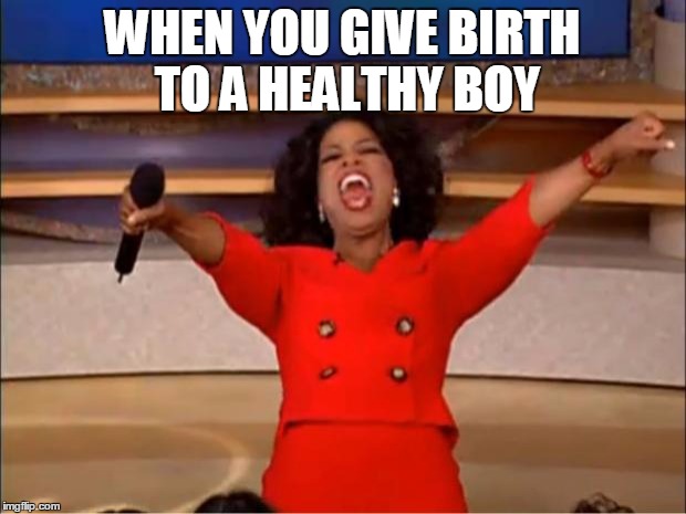 Oprah You Get A Meme | WHEN YOU GIVE BIRTH TO A HEALTHY BOY | image tagged in memes,oprah you get a | made w/ Imgflip meme maker