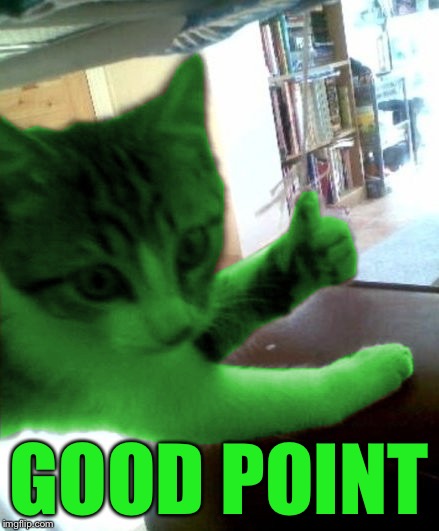 thumbs up RayCat | GOOD POINT | image tagged in thumbs up raycat | made w/ Imgflip meme maker