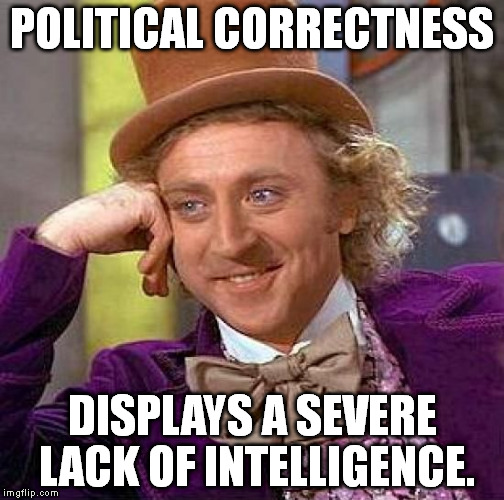 I hope this won't offend anybody. | POLITICAL CORRECTNESS; DISPLAYS A SEVERE LACK OF INTELLIGENCE. | image tagged in memes,creepy condescending wonka | made w/ Imgflip meme maker