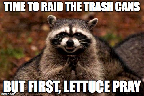 bad pun, evil plotting raccoon | TIME TO RAID THE TRASH CANS; BUT FIRST, LETTUCE PRAY | image tagged in memes,evil plotting raccoon | made w/ Imgflip meme maker