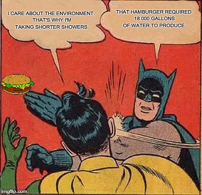 Batman Slapping Robin | I CARE ABOUT THE ENVIRONMENT. THAT'S WHY I'M TAKING SHORTER SHOWERS. THAT HAMBURGER REQUIRED 18 000 GALLONS OF WATER TO PRODUCE. | image tagged in memes,batman slapping robin | made w/ Imgflip meme maker