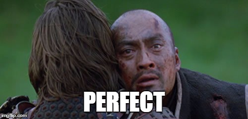 perfect | PERFECT | image tagged in perfect | made w/ Imgflip meme maker