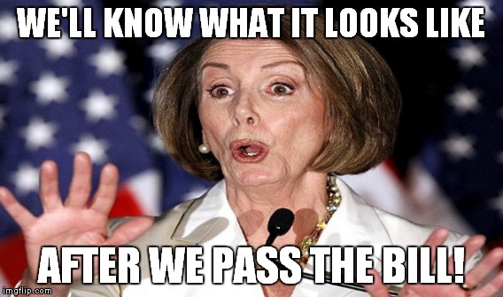 WE'LL KNOW WHAT IT LOOKS LIKE AFTER WE PASS THE BILL! | made w/ Imgflip meme maker