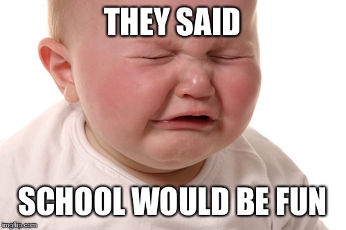 Crying baby is crying again | THEY SAID; SCHOOL WOULD BE FUN | image tagged in crying baby is crying again | made w/ Imgflip meme maker