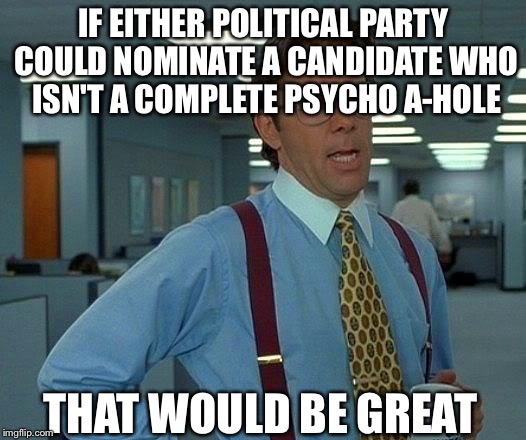 That Would Be Great | IF EITHER POLITICAL PARTY COULD NOMINATE A CANDIDATE WHO ISN'T A COMPLETE PSYCHO A-HOLE; THAT WOULD BE GREAT | image tagged in memes,that would be great | made w/ Imgflip meme maker