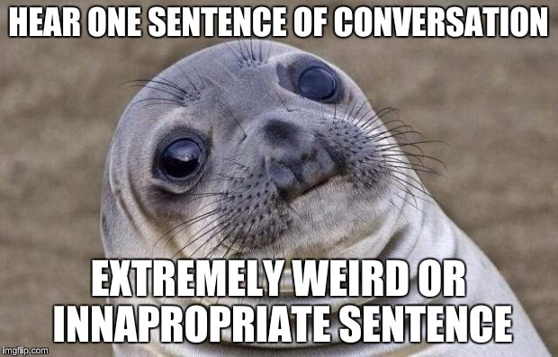 Awkward Moment Sealion | HEAR ONE SENTENCE OF CONVERSATION; EXTREMELY WEIRD OR INNAPROPRIATE SENTENCE | image tagged in memes,awkward moment sealion | made w/ Imgflip meme maker